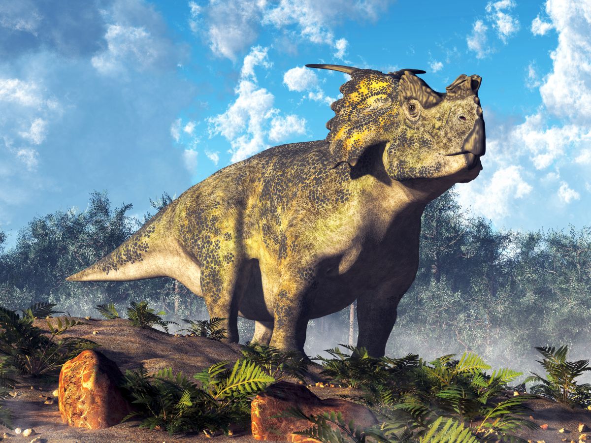 Dinosaurus Achelousaurus stojící na okraji pralesa.